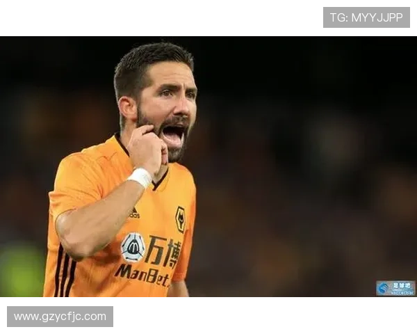 足球明星动画版全景介绍带你领略绿茵场上的传奇与激情