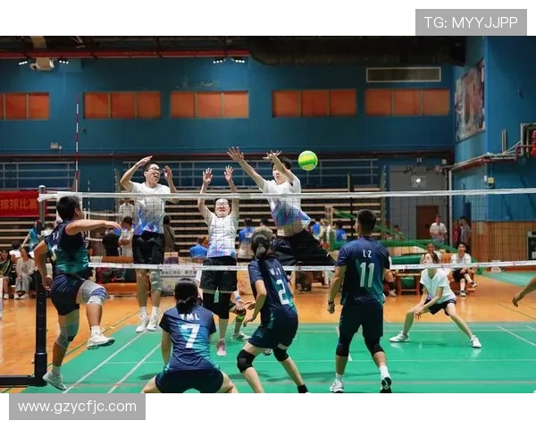 广州排球队的精神风貌与团队意识深度剖析