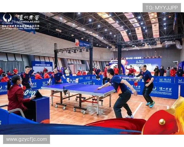 成都乒乓球队的转型之路与深度解析乒乓球的魅力与挑战